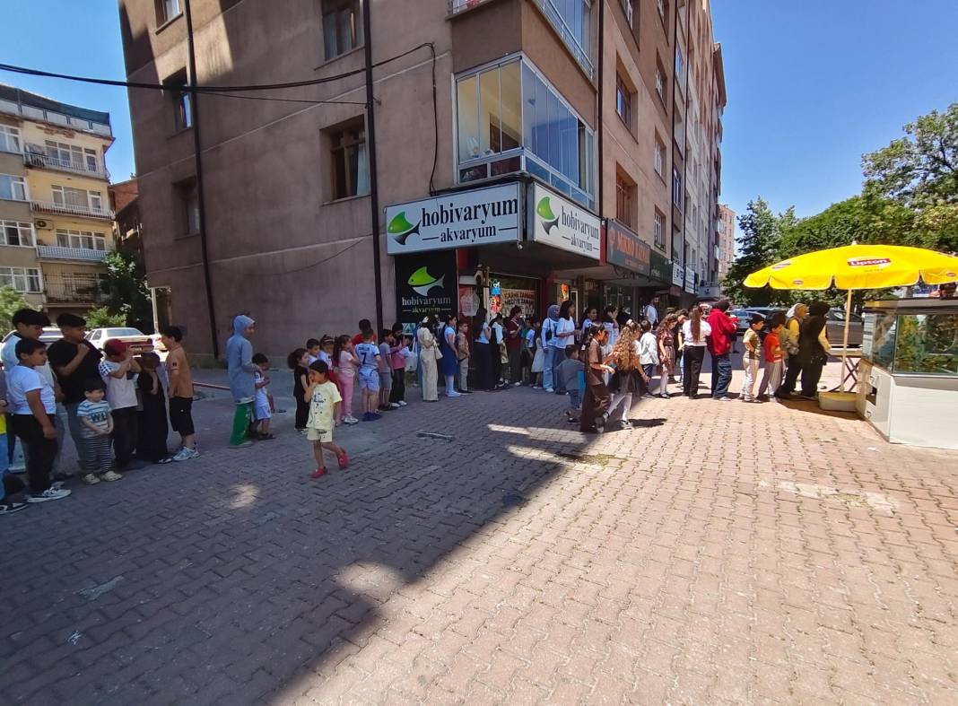 Konya’da karneyi getirene balık hediye! 4